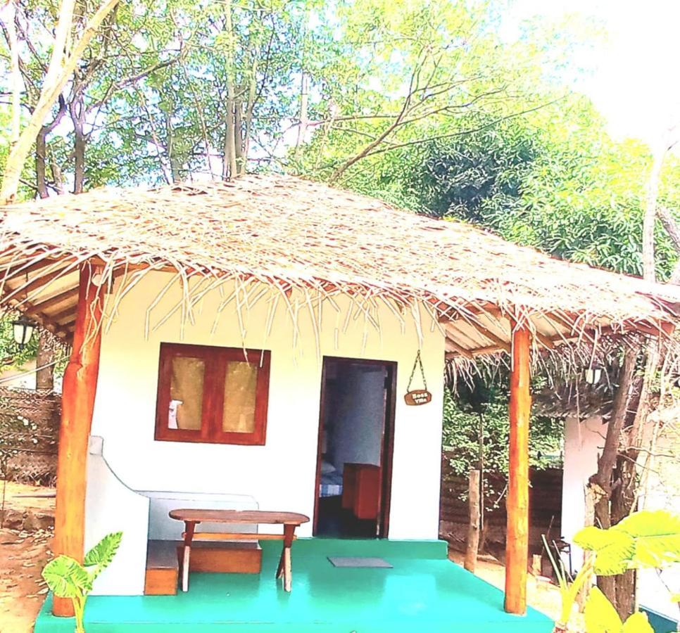 Homestay Priya Kandalama *